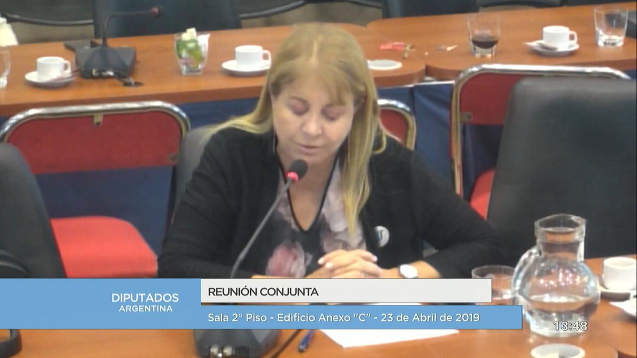 «Régimen penal juvenil: ¿con este proyecto habrá más o habrá menos víctimas?» Por la Dra. Diana Cohen Agrest